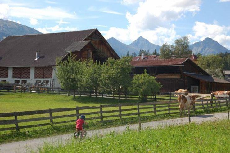 Karnerhof Daire Mariapfarr Dış mekan fotoğraf