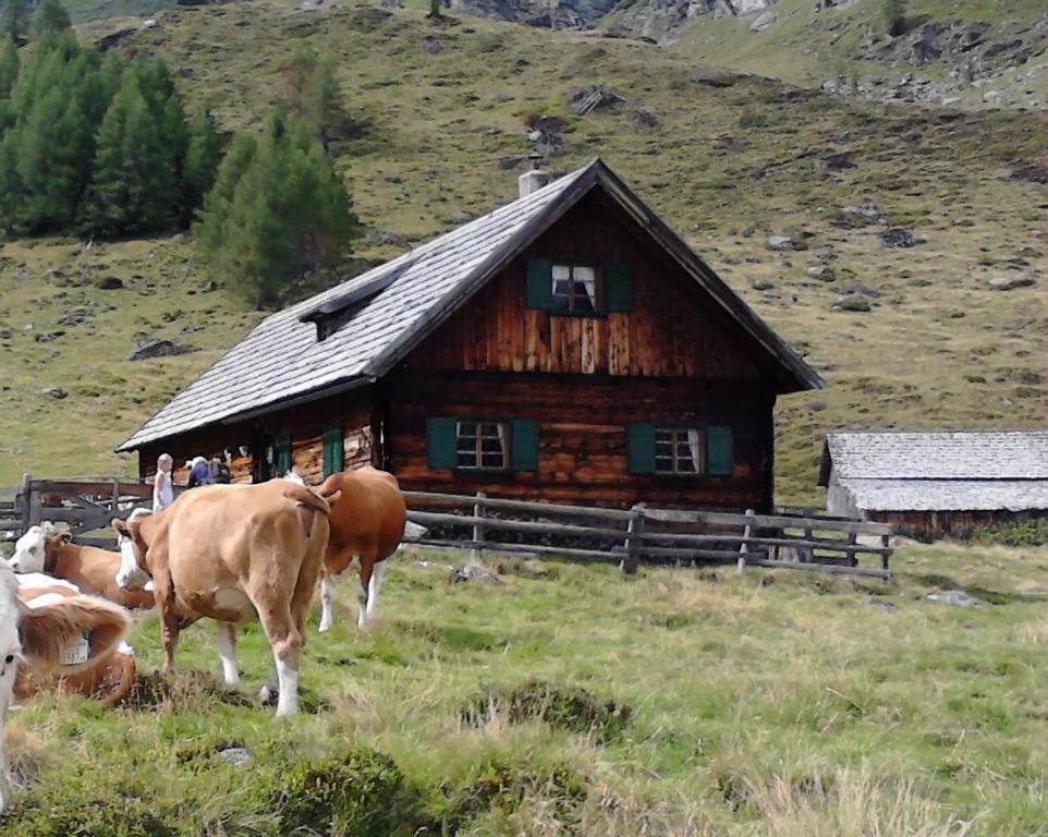 Karnerhof Daire Mariapfarr Dış mekan fotoğraf