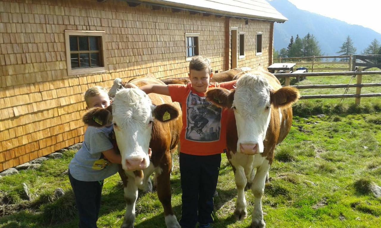 Karnerhof Daire Mariapfarr Dış mekan fotoğraf